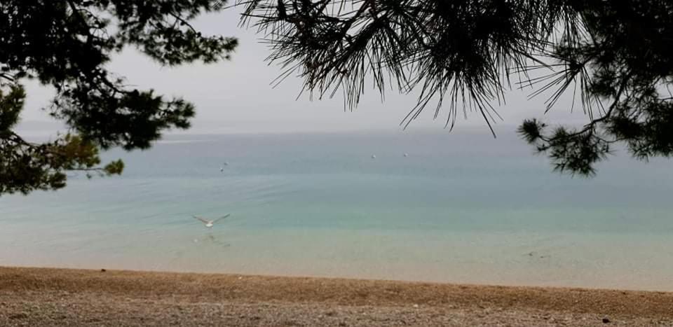Suncana Sara Tučepi Buitenkant foto